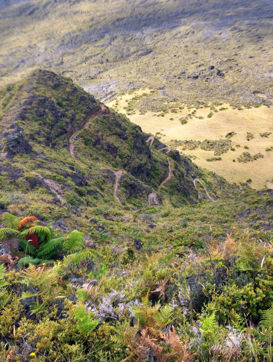 Looking back down on the switchbacks.