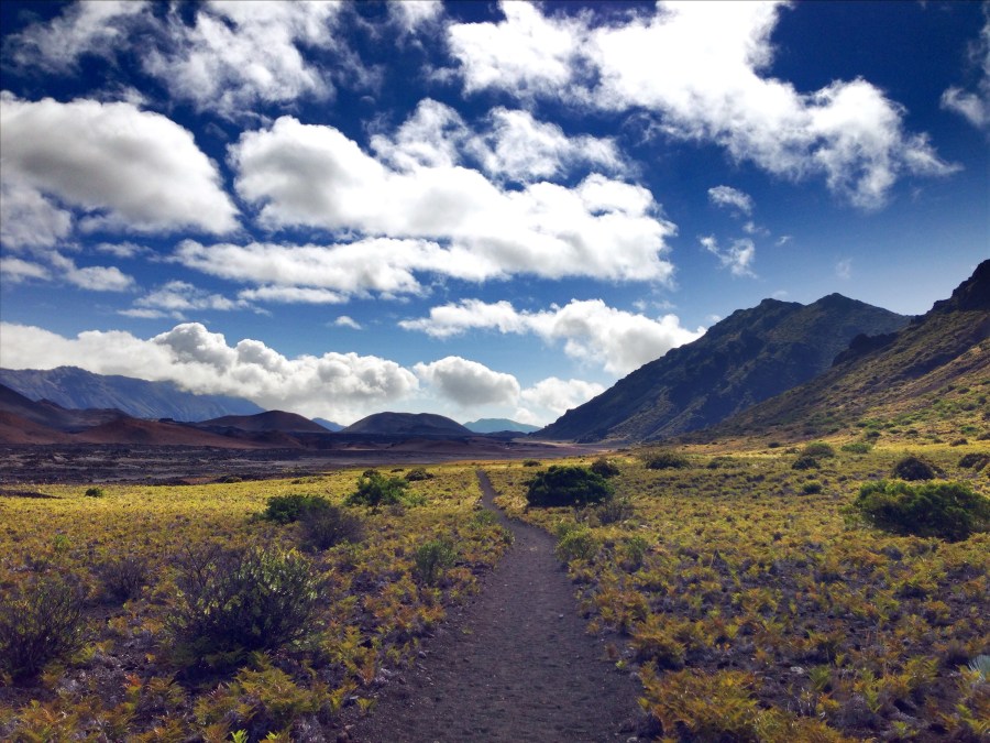 Looking forward down the valley.  The trail got greener the further you descended.