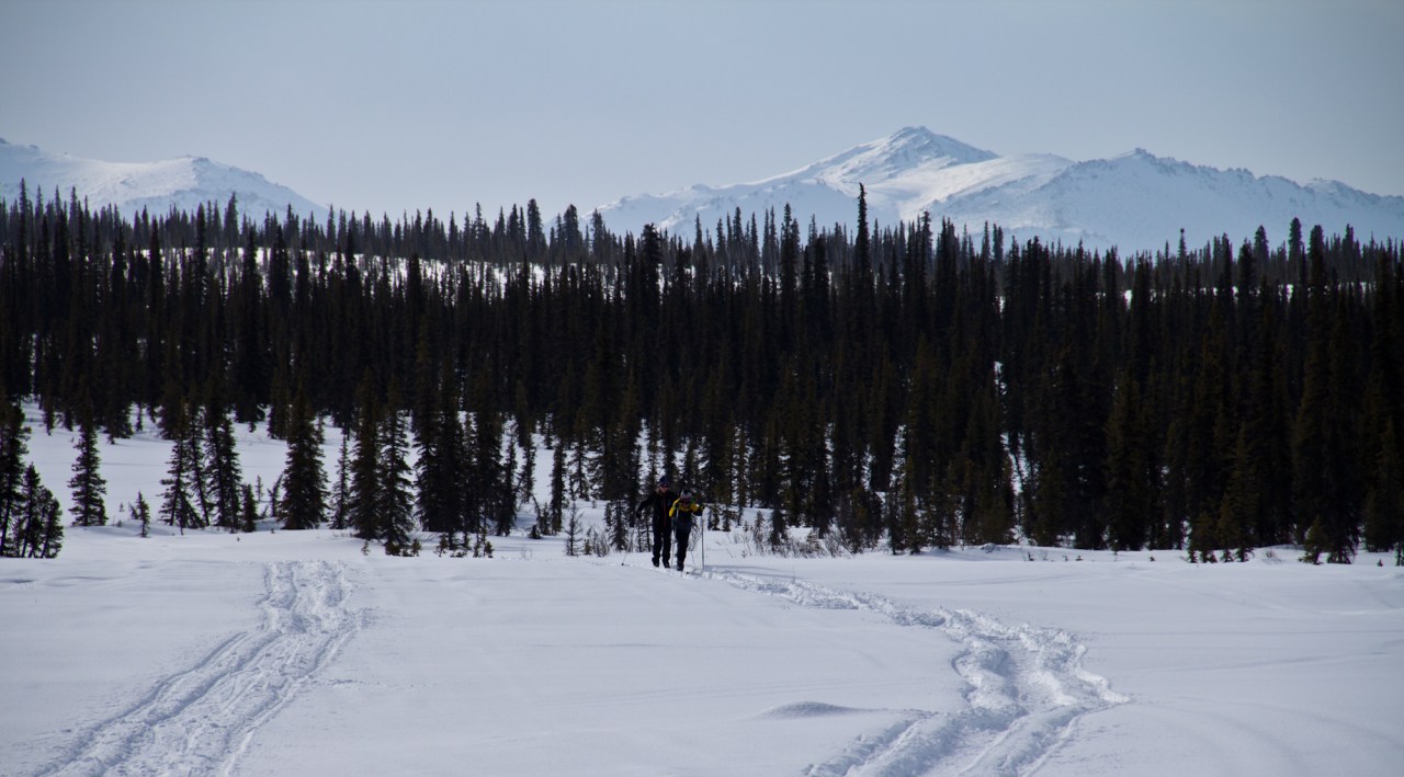 We followed a snow machine (snow-go in the local vernacular)  track out of town.  There was almost three feet of snow, making for tough skating.